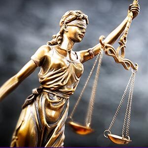 Initial Consultation *(Receive Legal Advice)